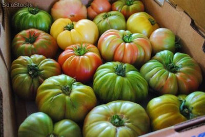 Tomates Heirloom