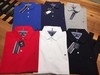 polo tommy