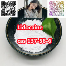 top quality 99% + Lidocaine cas 137-58-6