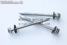 tornillo acero inoxidable304/316