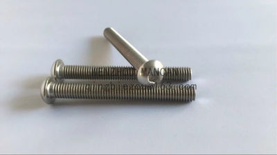 Tornillo cabezal semicírculos hexágonal acero inoxidable304/316