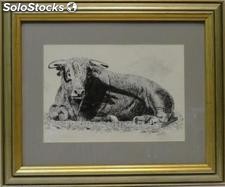 Toro | Pinturas de escenas taurinas en tinta sobre papel