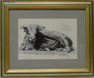 Toro | Pinturas de escenas taurinas en tinta sobre papel