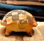 Tortuga Figura decorativa de terracota 100% hecha a mano &amp;quot;BerBer Arts&amp;quot; - Foto 2