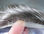 Toupets pour homme Prothèse capillaire pour homme qui a pertes de cheveux - Photo 4