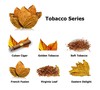 hojas tabaco