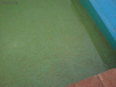 Tratamiento piscinas aguas verdes, limpieza fácil en 72 horas.
