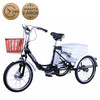 triciclo carga