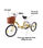 Triciclo para adultos con dos cestas Mod. BEP-14 - 1