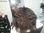 Triologia capilar de quality hair - Foto 2