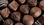 Truffas de Chocolate sabores regionais de frutas brasileiras - Foto 5