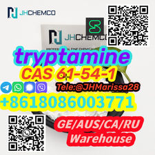 Trustworthy Factory Supply CAS 61-54-1 tryptamine Threema: Y8F3Z5CH