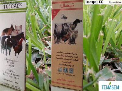 Tuegual (Nouveau) - Pesticide, insecticide