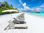 Tumbona lounge tropic - blanca - Foto 3