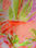 Tunique femme voile leger corail rose et vert fluo - Photo 2