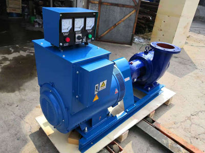 Turbina hidraulica domestica generador de agua rueda de francis - Foto 2