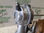 Turbocompresor / 4913500610 / 978213 para iveco daily 2.3 hpi - Foto 3