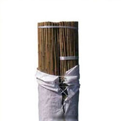 Tutor de bambu Bala 50 unidades 3 m. diametro 30-32 mm.
