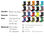 Ulrich-1Wholesale Custom Logo design 3D printing socks crew funny - Foto 5