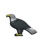 USB Águila PVC Soft Memoria USB de animales salvajes aves divertidos de 8-16GB
