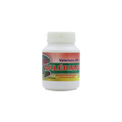 Valériane (Valeriana officinalis) 350 mg 90 comprimés