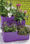 Vaso arredo giardino giardinaggio design Victoria - Foto 2