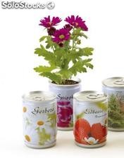 Vasos para plantas variadas de lata