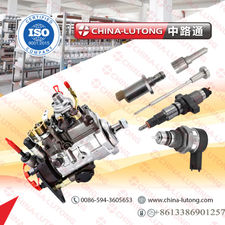 Ve Fuel Pump VE6/12F1300R929-5