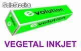 Vegetal inkjet evolution 0,625x50m