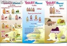 Venda yogurt por catalogo