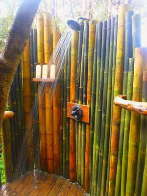 Vendo canne di bambù bambu con diametro da 1 a 10 cm. - Foto 3