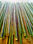 Vendo canne di bambù bambu con diametro da 1 a 10 cm. - Foto 5