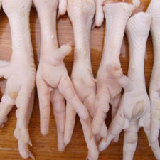Venta al por mayor de pollos congelados, pollo entero congelado, pies de pollo