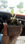 Venta de arbolito kiri o paulownia tomentosa imperial - Foto 2