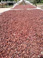 Venta de cacao en grano