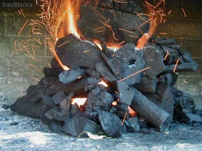 Venta de carbón de calidad en colombia. - Foto 4