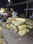 venta de hoja de maiz para tamal - Foto 5