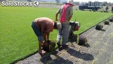 Venta de pasto en rollo y tierra para jardin