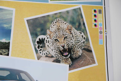 Venta Impresora Flexográfica de Alta Velocidad de 4 Colores por film papel - Foto 4