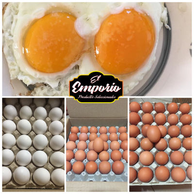 Venta y Distribución Huevos - Foto 3