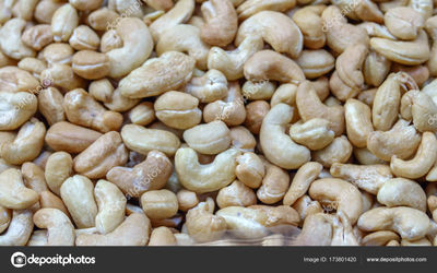 Vente de noix de cajou (cashew) - Photo 5