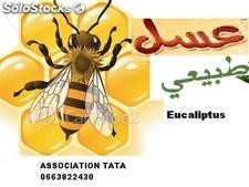 Vente meilleur miel artisanal bio du maroc