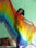 Véu de seda para dança do ventre - arco-íris - Foto 5