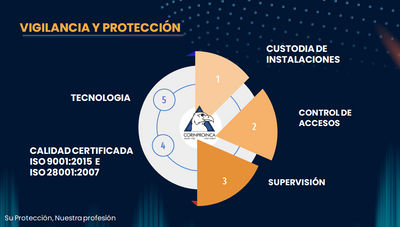 Vigilancia y Protección de Propiedades / Seguridad Electrónica - Foto 2