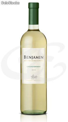 Vino Blanco Benjamin Nieto Senetiner Chardonnay
