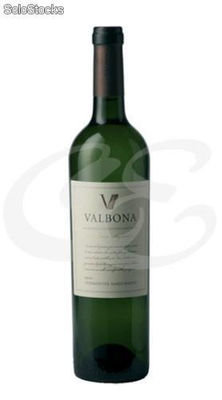 Vino Blanco Valbona Torrontés Sanjuanino