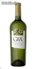 Vino Blanco Vastago de Gea Chardonnay