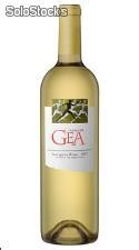 Vino Blanco Vastago de Gea Sauvignon Blanc