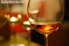 vino falanghina sud italia in stock quasi esaurito per cui prezzo shock