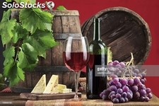 Vino italiano bianco e rosso da tavola di eccellente qualità-Prezzo super sconto